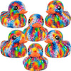 6" Splash Duck