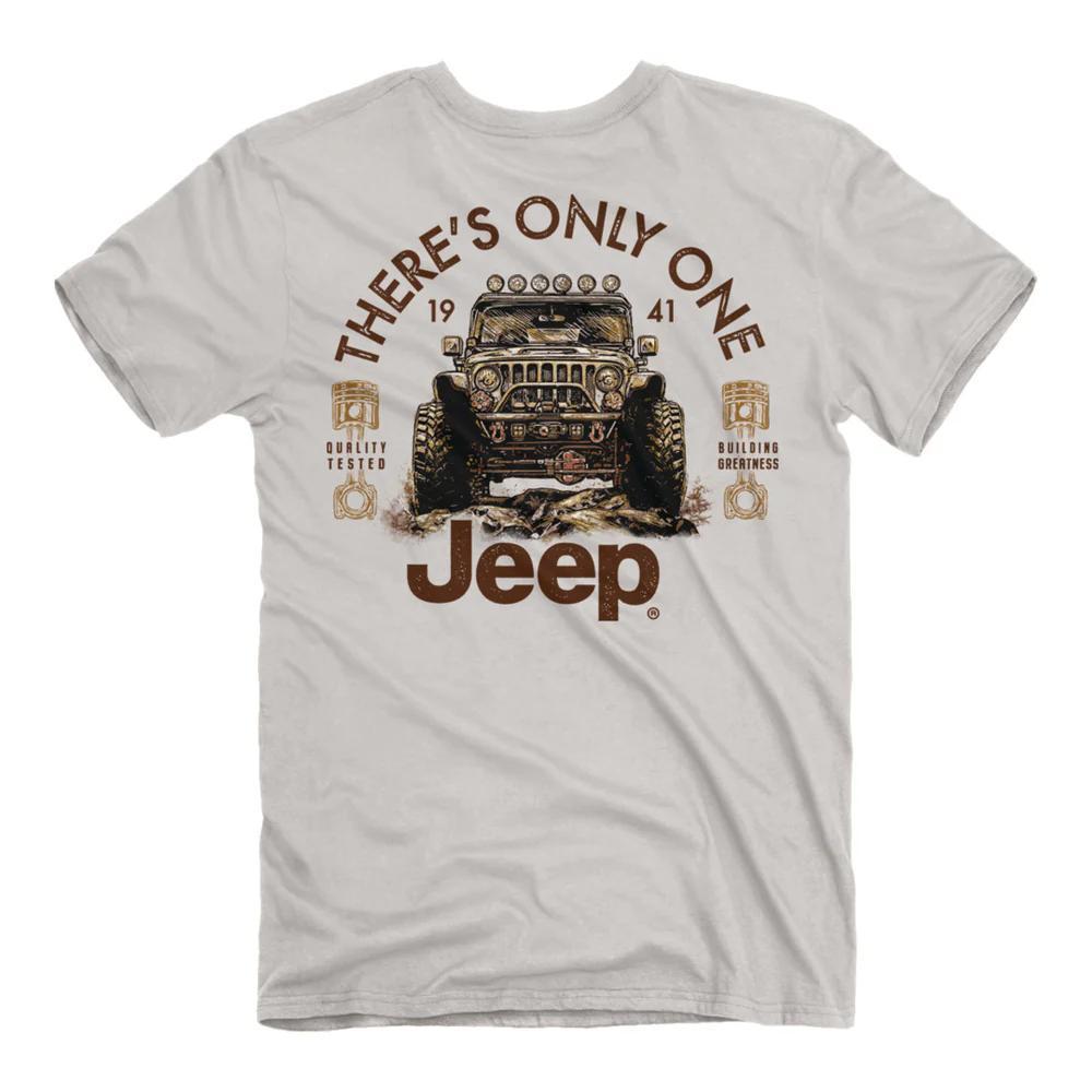 7264: Jeep Pistons