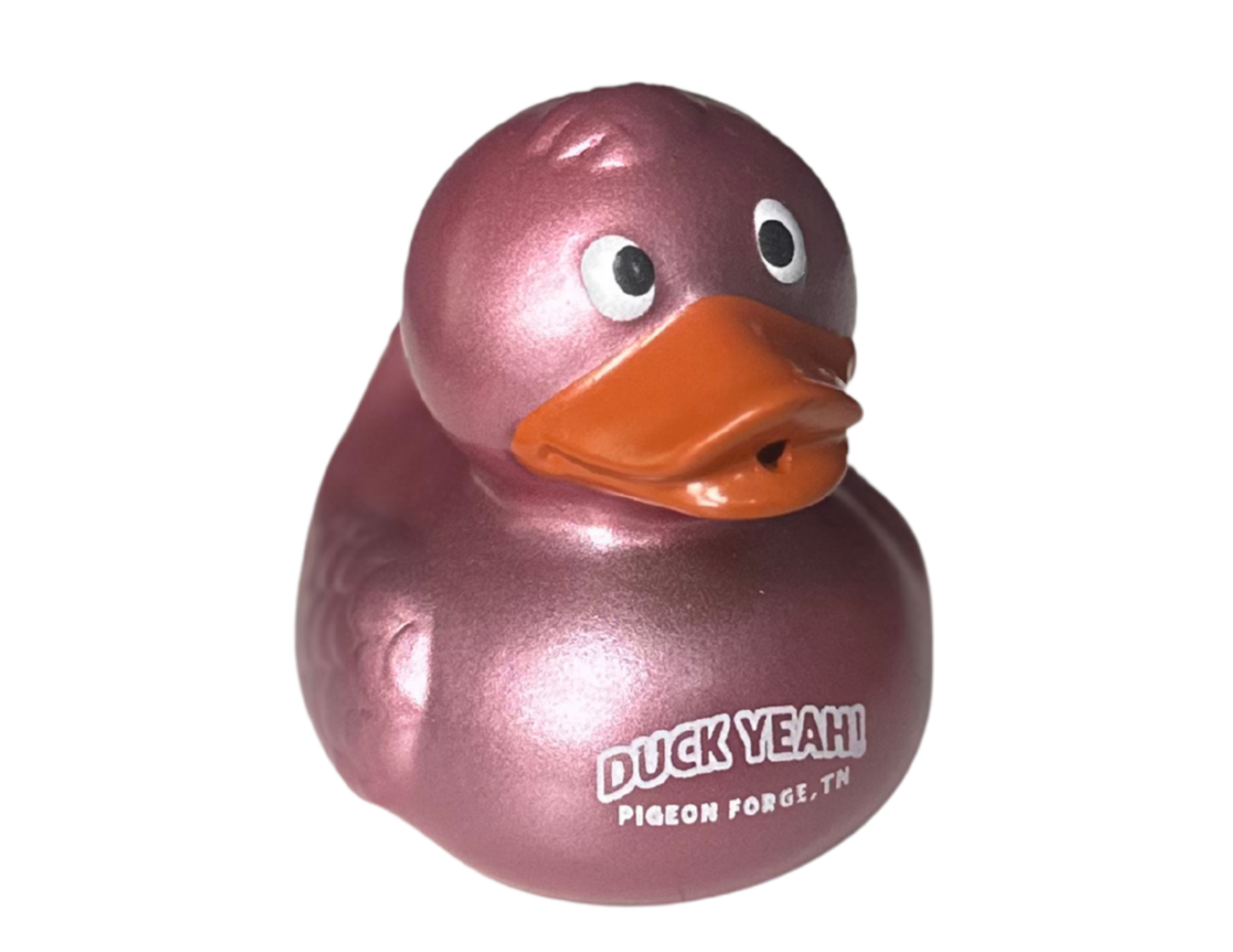 2.5" Logo Duck