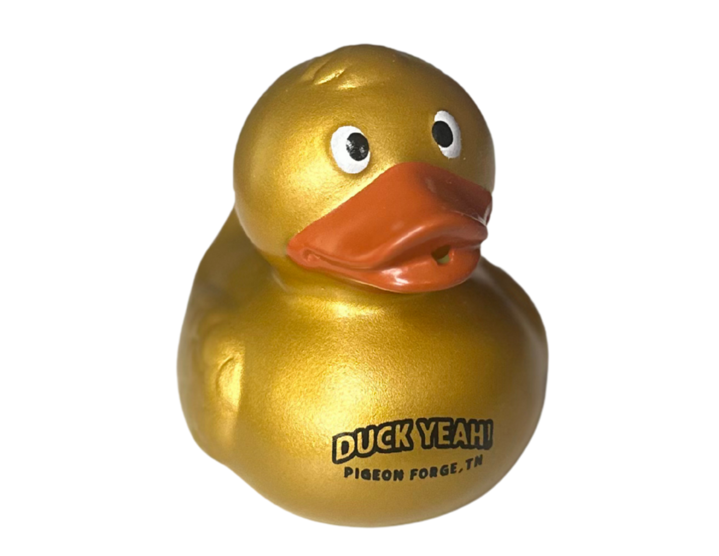 2.5" Logo Duck