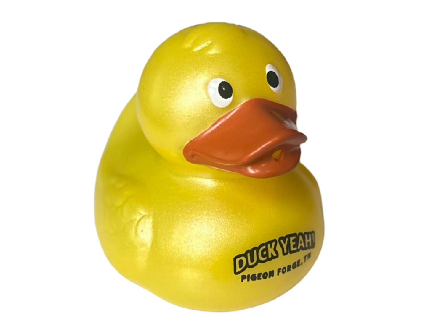 2.5" Logo Duck