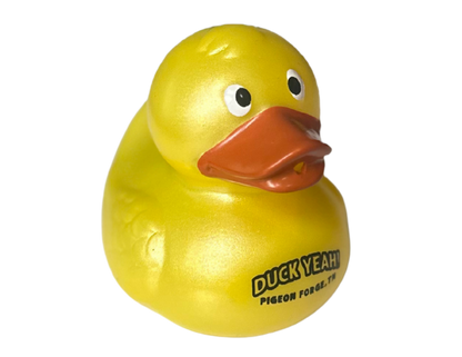 2.5" Logo Duck