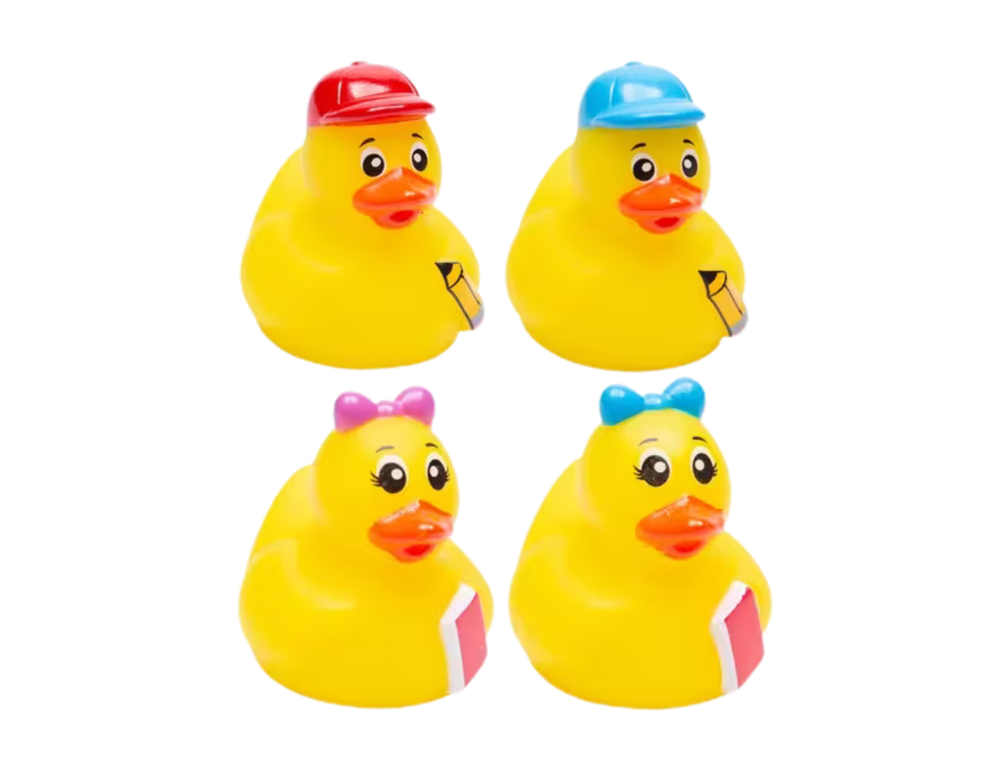 1" Mini Student Ducks